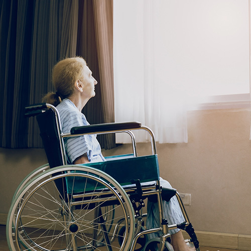an elderly woman in a wheelchair sitting at the window