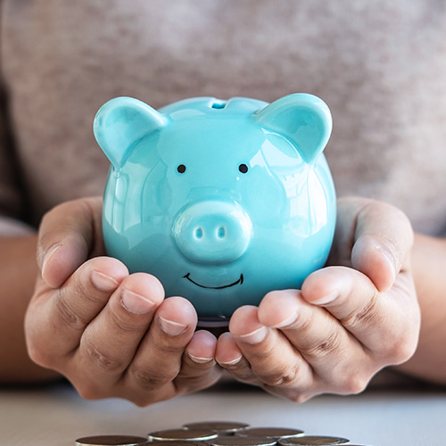 hands holding a piggy bank